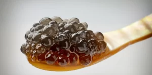 Caviar